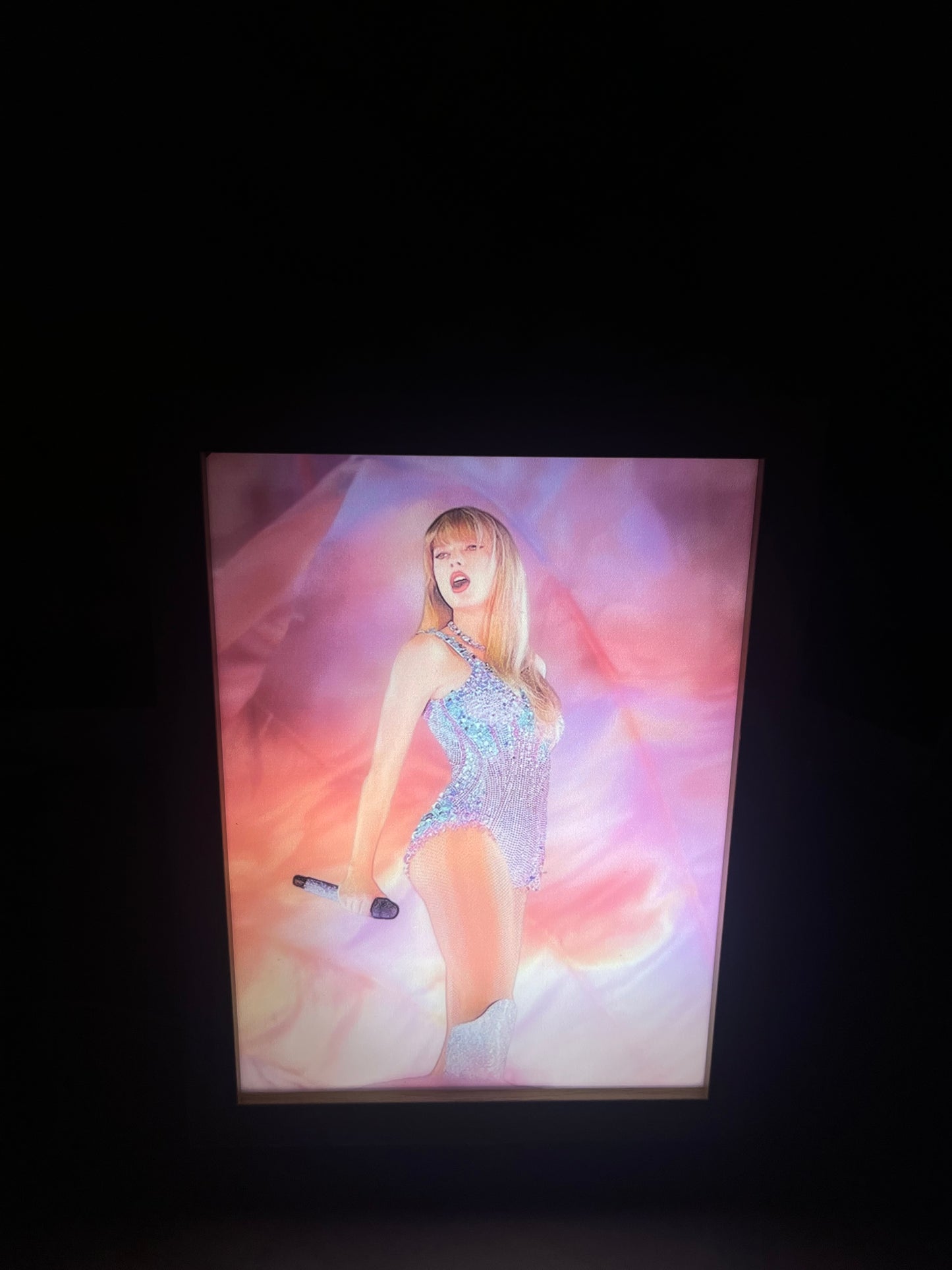 Taylor's LED Paintings